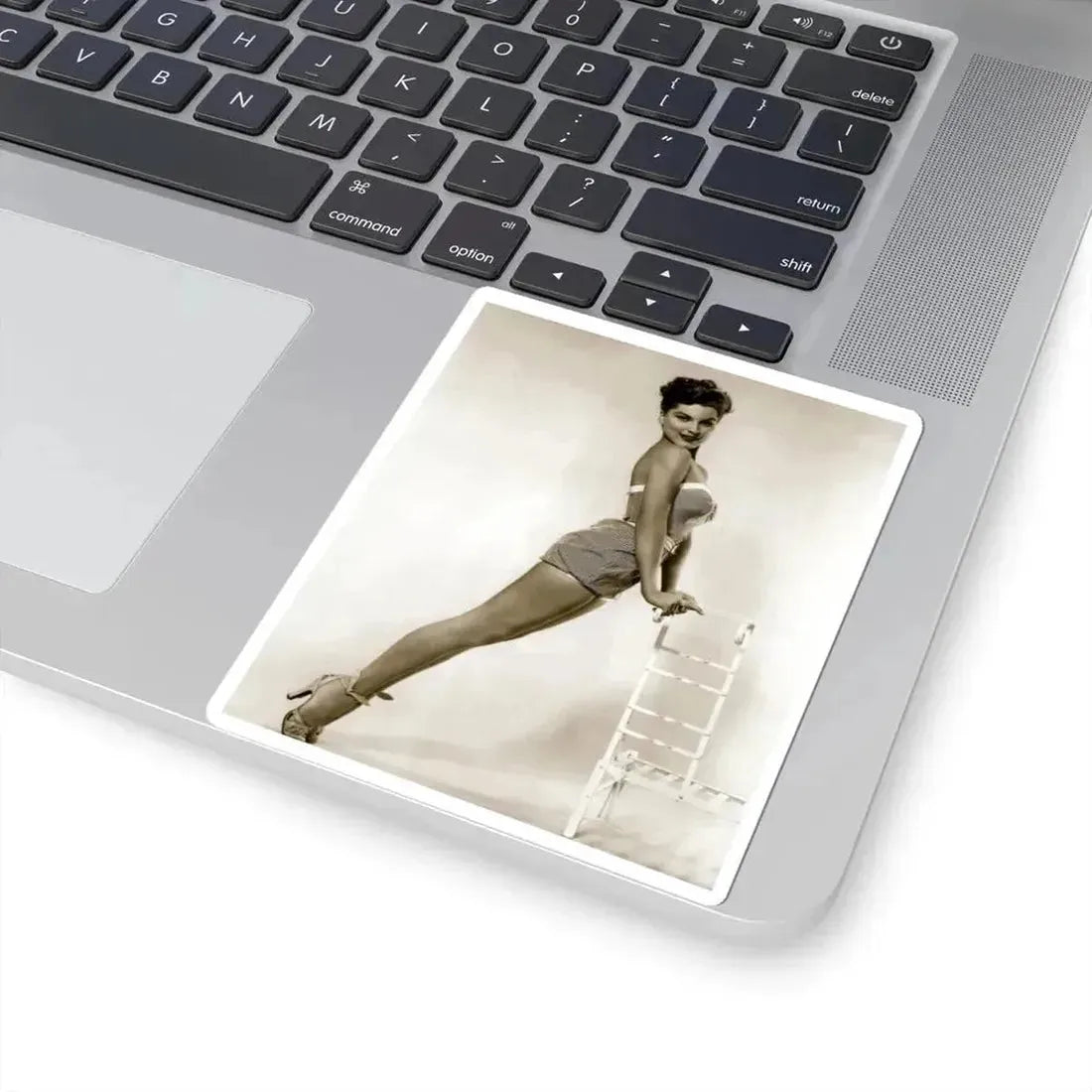 Debra Paget #499 (Vintage Female Icon) STICKER Vinyl Kiss-Cut Decal - The Sticker Space