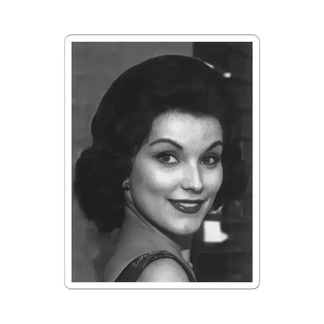 Debra Paget #506 (Vintage Female Icon) STICKER Vinyl Kiss-Cut Decal 6 Inch White - The Sticker Space