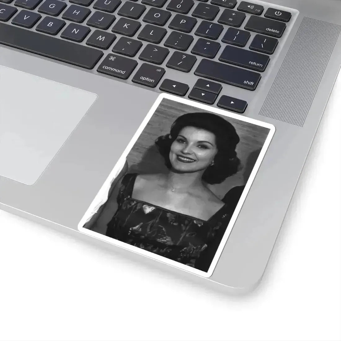 Debra Paget #507 (Vintage Female Icon) STICKER Vinyl Kiss-Cut Decal - The Sticker Space