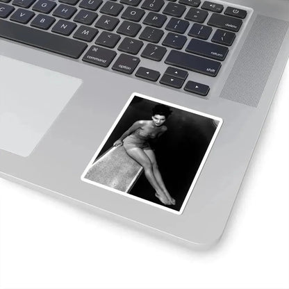 Debra Paget #510 (Vintage Female Icon) STICKER Vinyl Kiss-Cut Decal - The Sticker Space