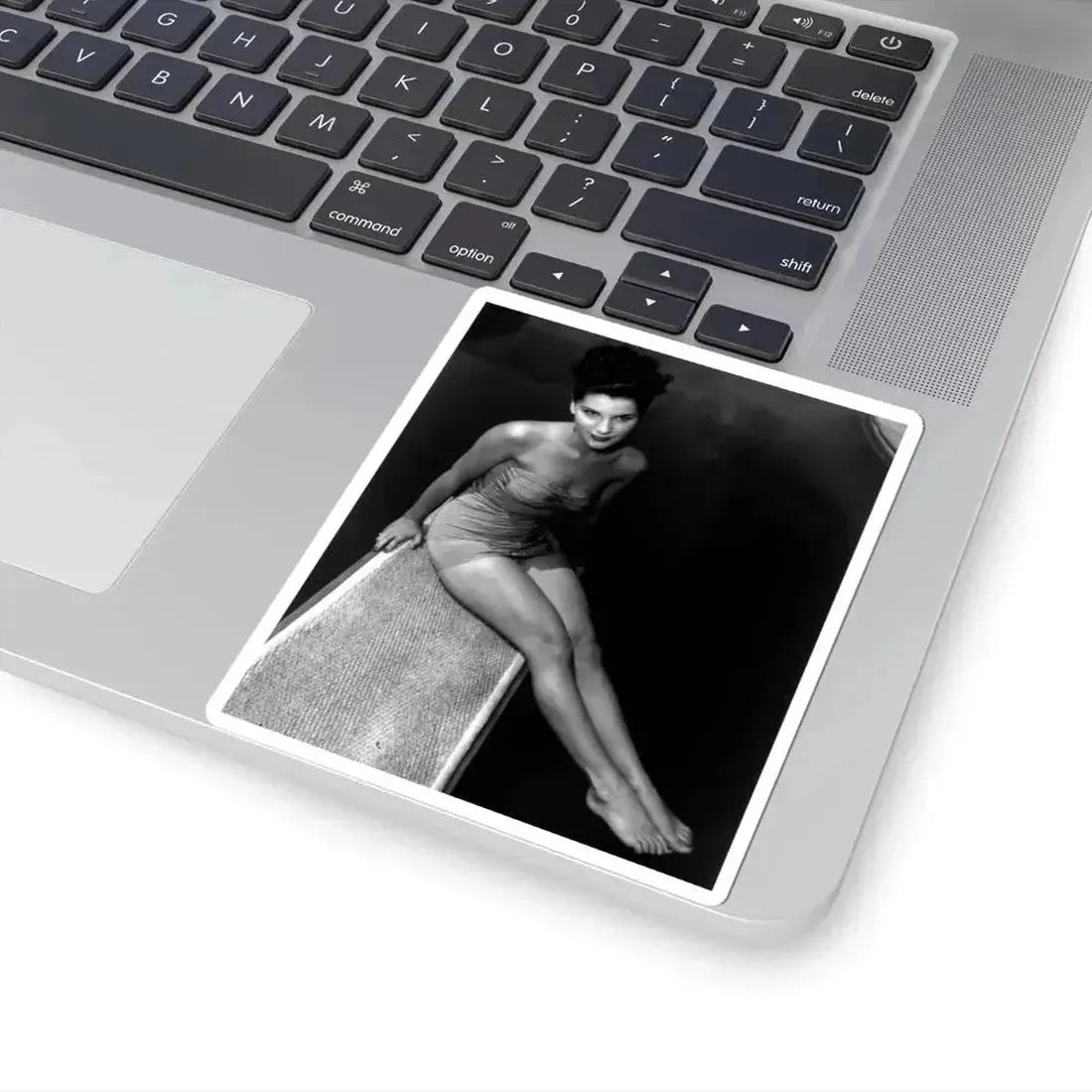 Debra Paget #510 (Vintage Female Icon) STICKER Vinyl Kiss-Cut Decal - The Sticker Space