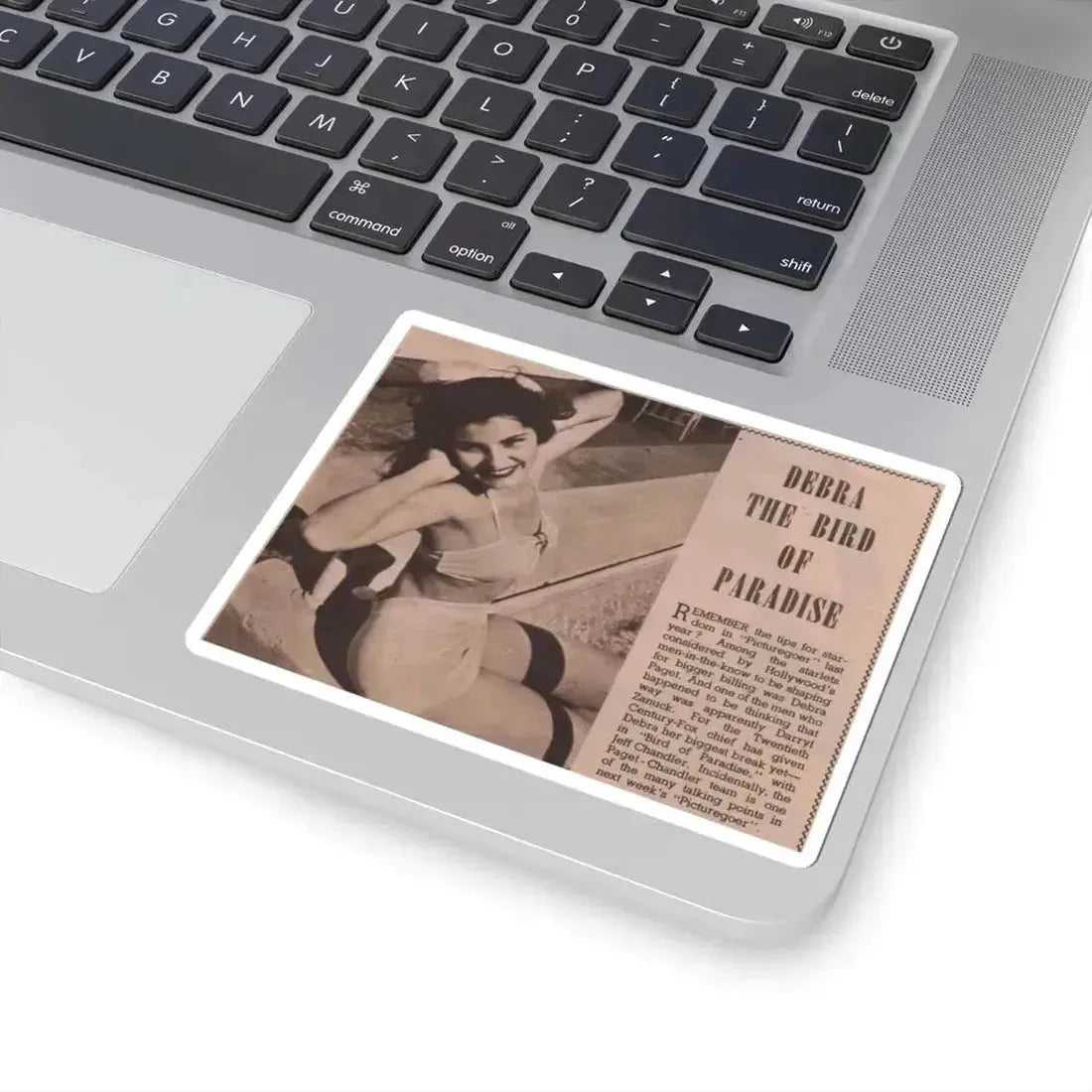 Debra Paget #519 - Magazine Clipping B&W Photo & Article from 1951 (Vintage Female Icon) STICKER Vinyl Kiss-Cut Decal - The Sticker Space