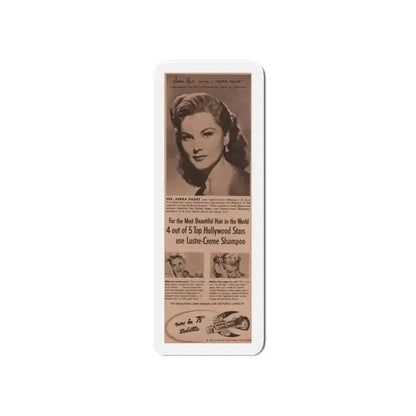 Debra Paget #520 - Magazine Clipping Shampoo Add Circa 50's (Vintage Female Icon) Refrigerator Magnet - The Sticker Space