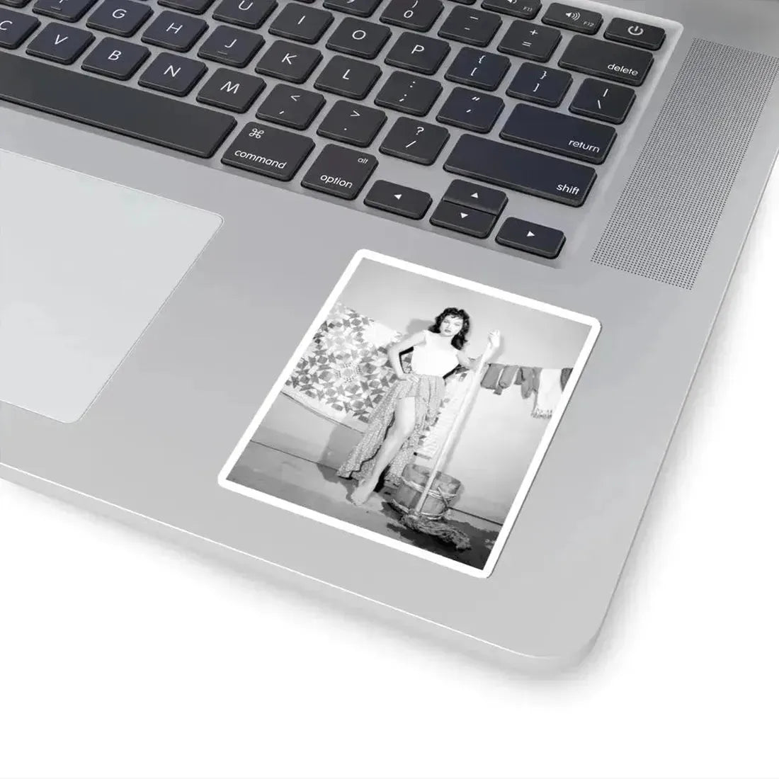 Debra Paget #529 (Vintage Female Icon) STICKER Vinyl Kiss-Cut Decal - The Sticker Space