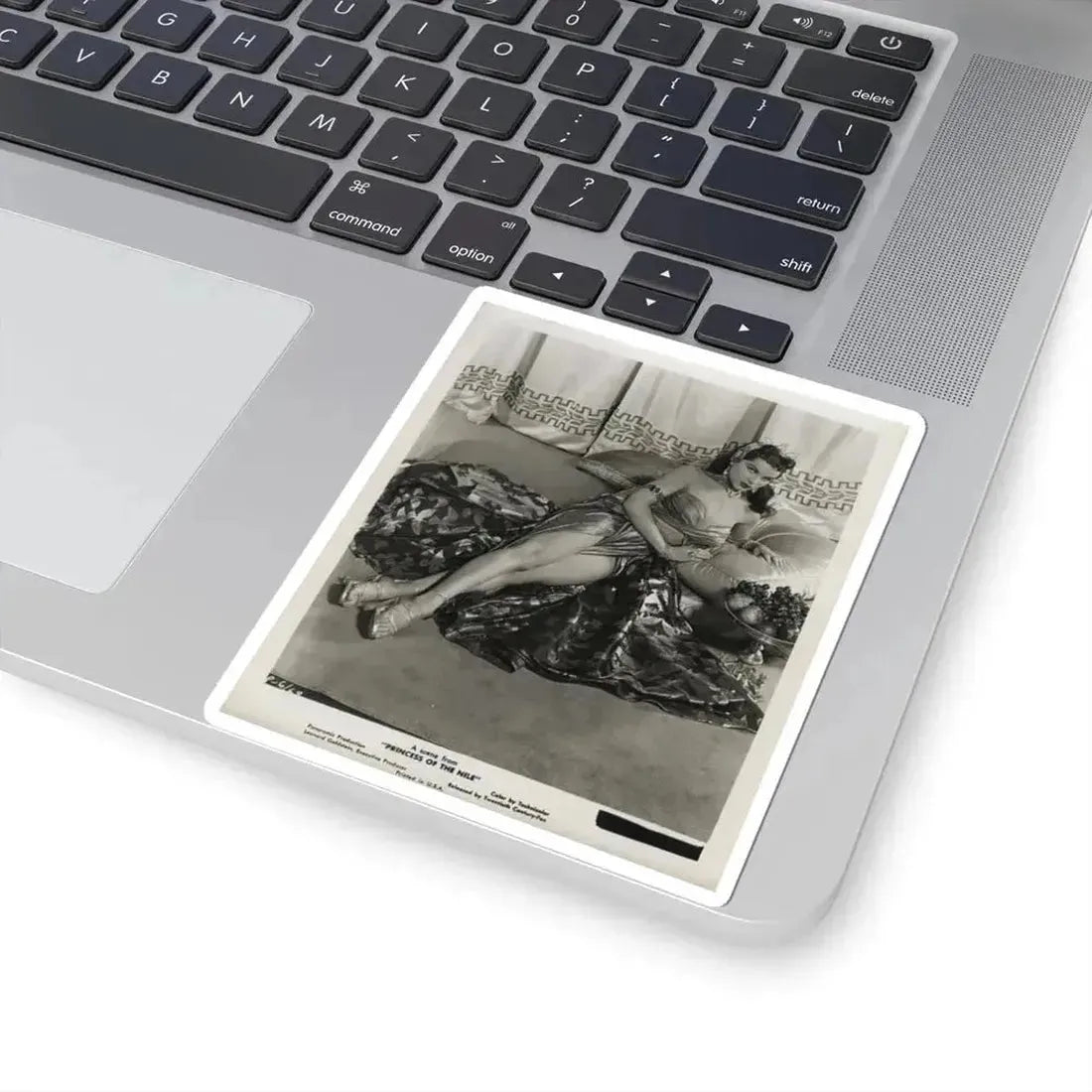 Debra Paget #53 1 (Vintage Female Icon) STICKER Vinyl Kiss-Cut Decal - The Sticker Space