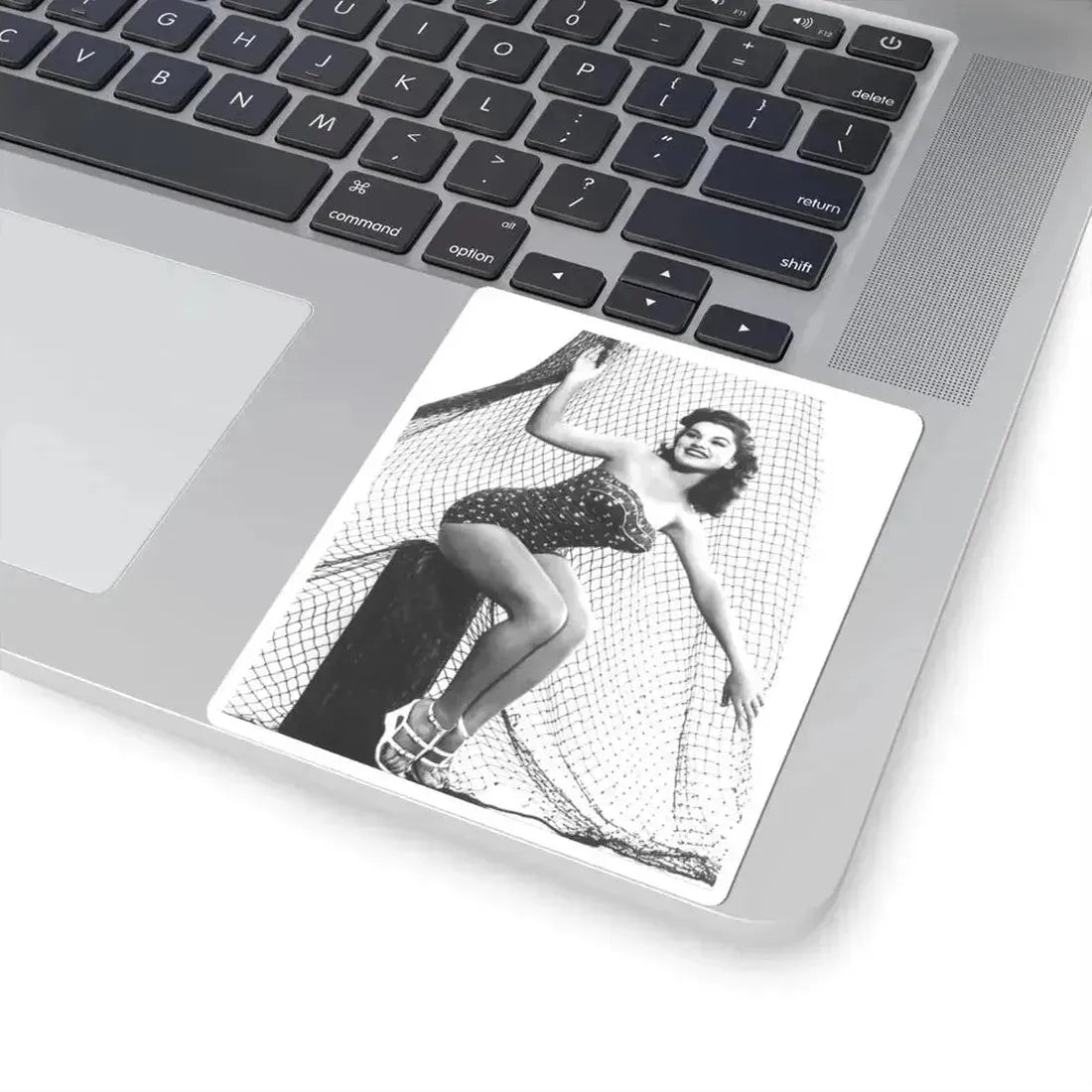 Debra Paget #536 (Vintage Female Icon) STICKER Vinyl Kiss-Cut Decal - The Sticker Space