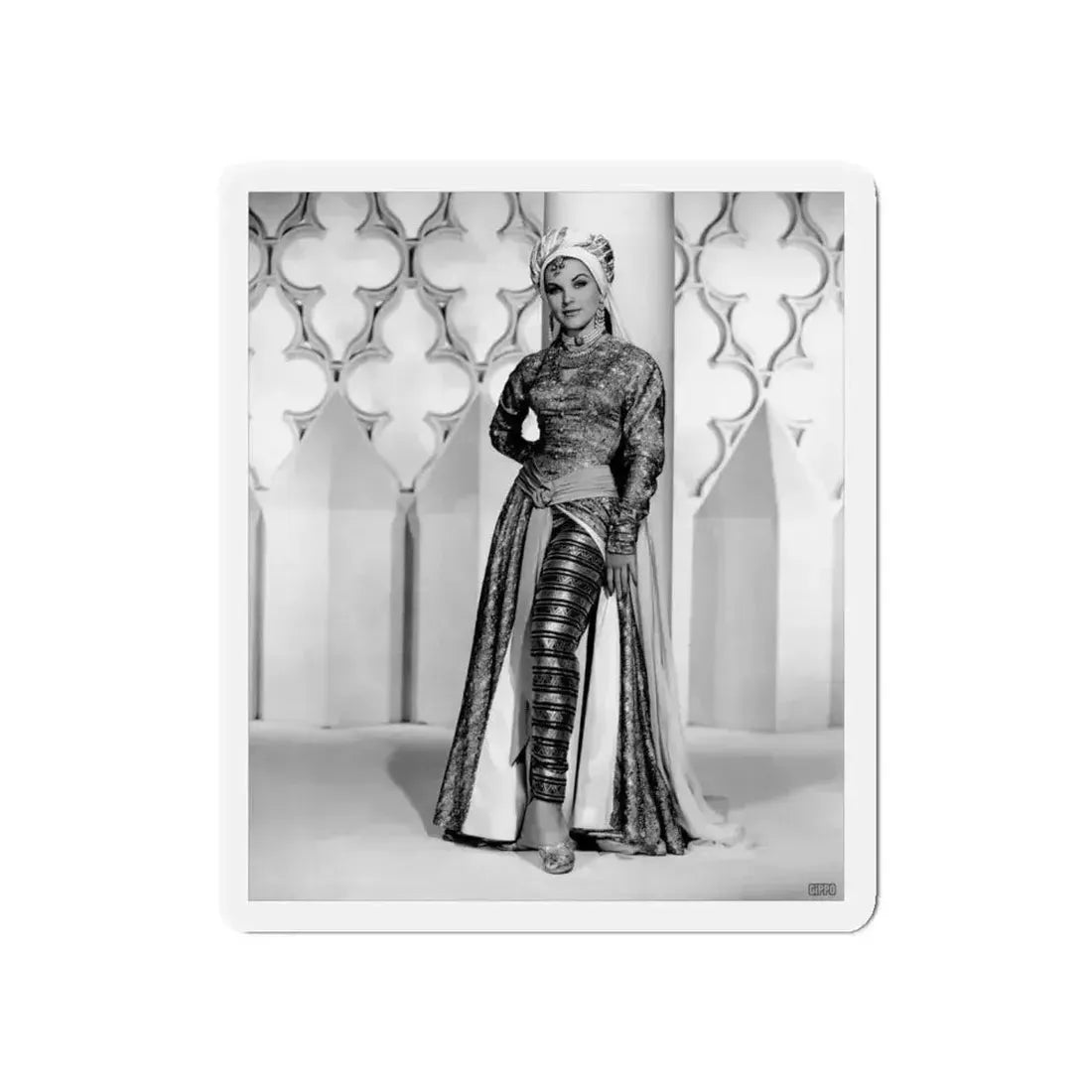 Debra Paget #537 (Vintage Female Icon) Refrigerator Magnet - The Sticker Space