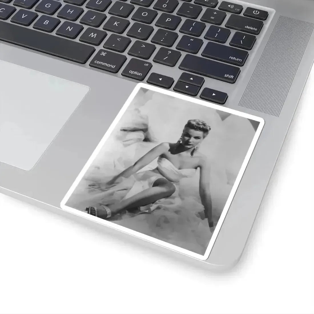 Debra Paget #538 (Vintage Female Icon) STICKER Vinyl Kiss-Cut Decal - The Sticker Space