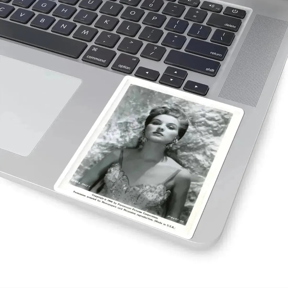 Debra Paget #545 (Vintage Female Icon) STICKER Vinyl Kiss-Cut Decal - The Sticker Space