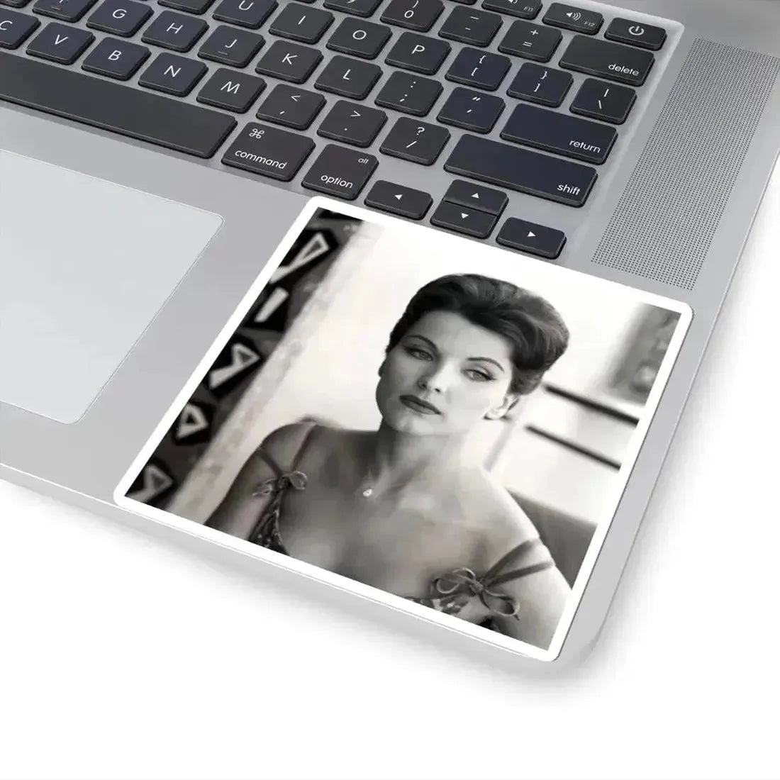 Debra Paget #572 (Vintage Female Icon) STICKER Vinyl Kiss-Cut Decal - The Sticker Space