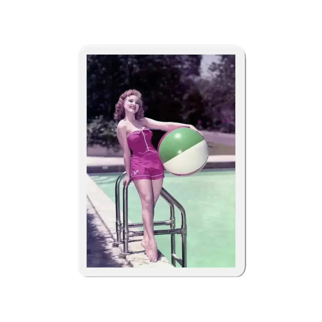 Debra Paget #590 (Vintage Female Icon) Refrigerator Magnet - The Sticker Space