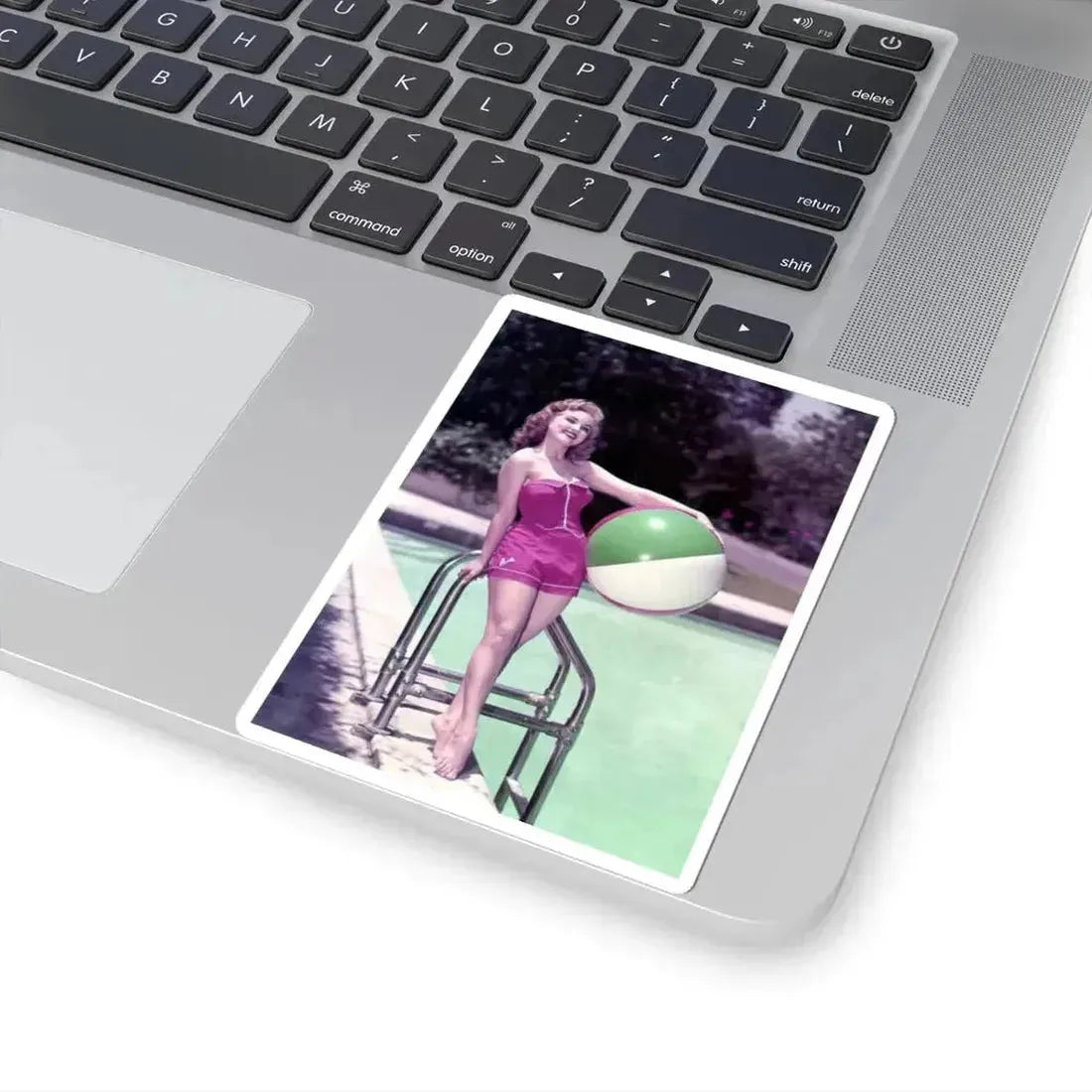 Debra Paget #590 (Vintage Female Icon) STICKER Vinyl Kiss-Cut Decal - The Sticker Space