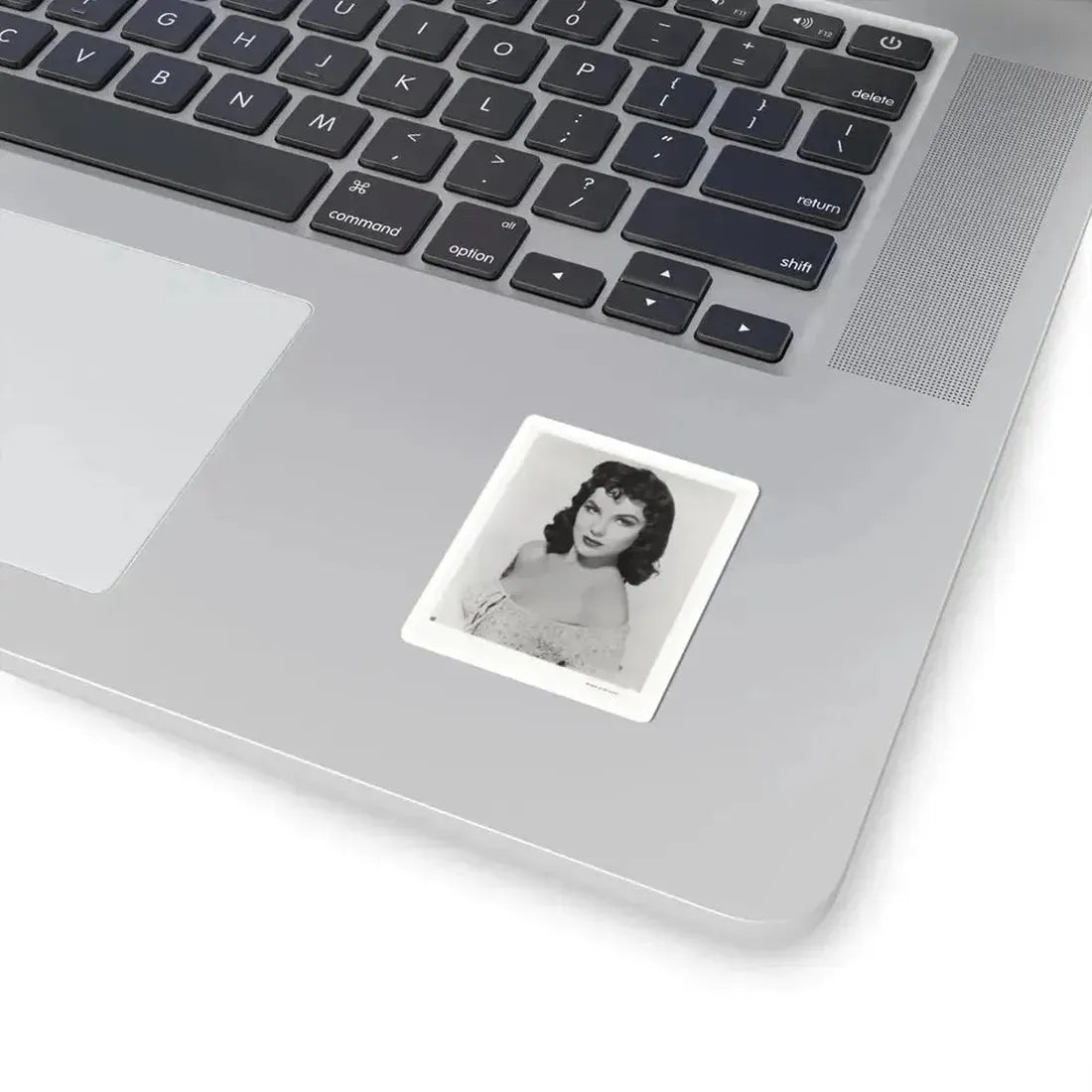 Debra Paget #609 - 8x10 B&W Upper Body Glamour Promo Photo for ''The Gambler From Natchez'' '54 (Vintage Female Icon) STICKER Vinyl Kiss-Cut Decal - The Sticker Space