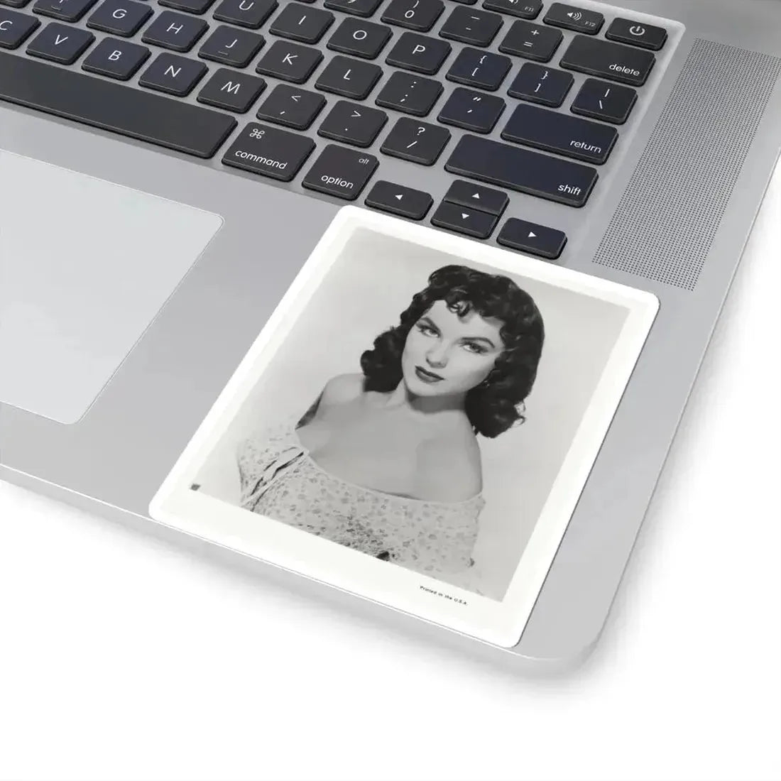 Debra Paget #609 - 8x10 B&W Upper Body Glamour Promo Photo for ''The Gambler From Natchez'' '54 (Vintage Female Icon) STICKER Vinyl Kiss-Cut Decal - The Sticker Space