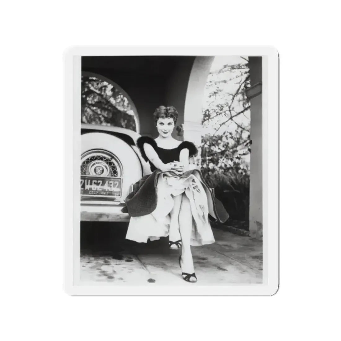 Debra Paget #610 - 8x10 B&W Full Body Glamour Promo Photo circa 50's (Vintage Female Icon) Refrigerator Magnet 2 Inch Die-Cut - The Sticker Space