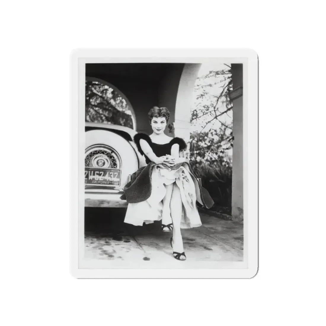 Debra Paget #610 - 8x10 B&W Full Body Glamour Promo Photo circa 50's (Vintage Female Icon) Refrigerator Magnet 5 Inch Die-Cut - The Sticker Space