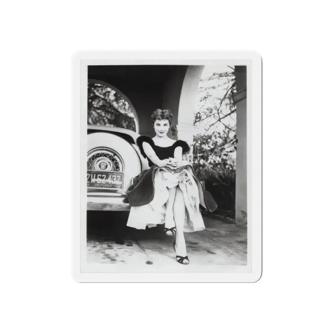 Debra Paget #610 - 8x10 B&W Full Body Glamour Promo Photo circa 50's (Vintage Female Icon) Refrigerator Magnet 6 Inch Die-Cut - The Sticker Space