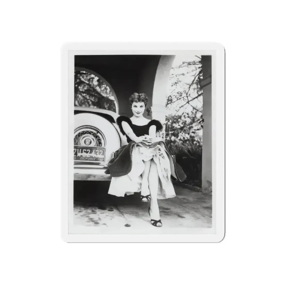 Debra Paget #610 - 8x10 B&W Full Body Glamour Promo Photo circa 50's (Vintage Female Icon) Refrigerator Magnet - The Sticker Space