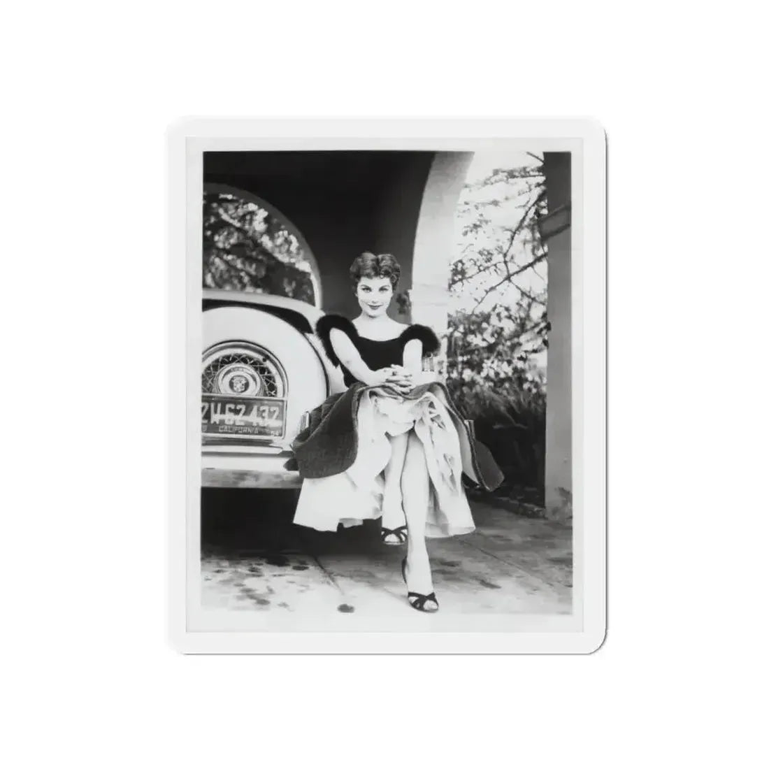 Debra Paget #610 - 8x10 B&W Full Body Glamour Promo Photo circa 50's (Vintage Female Icon) Refrigerator Magnet - The Sticker Space