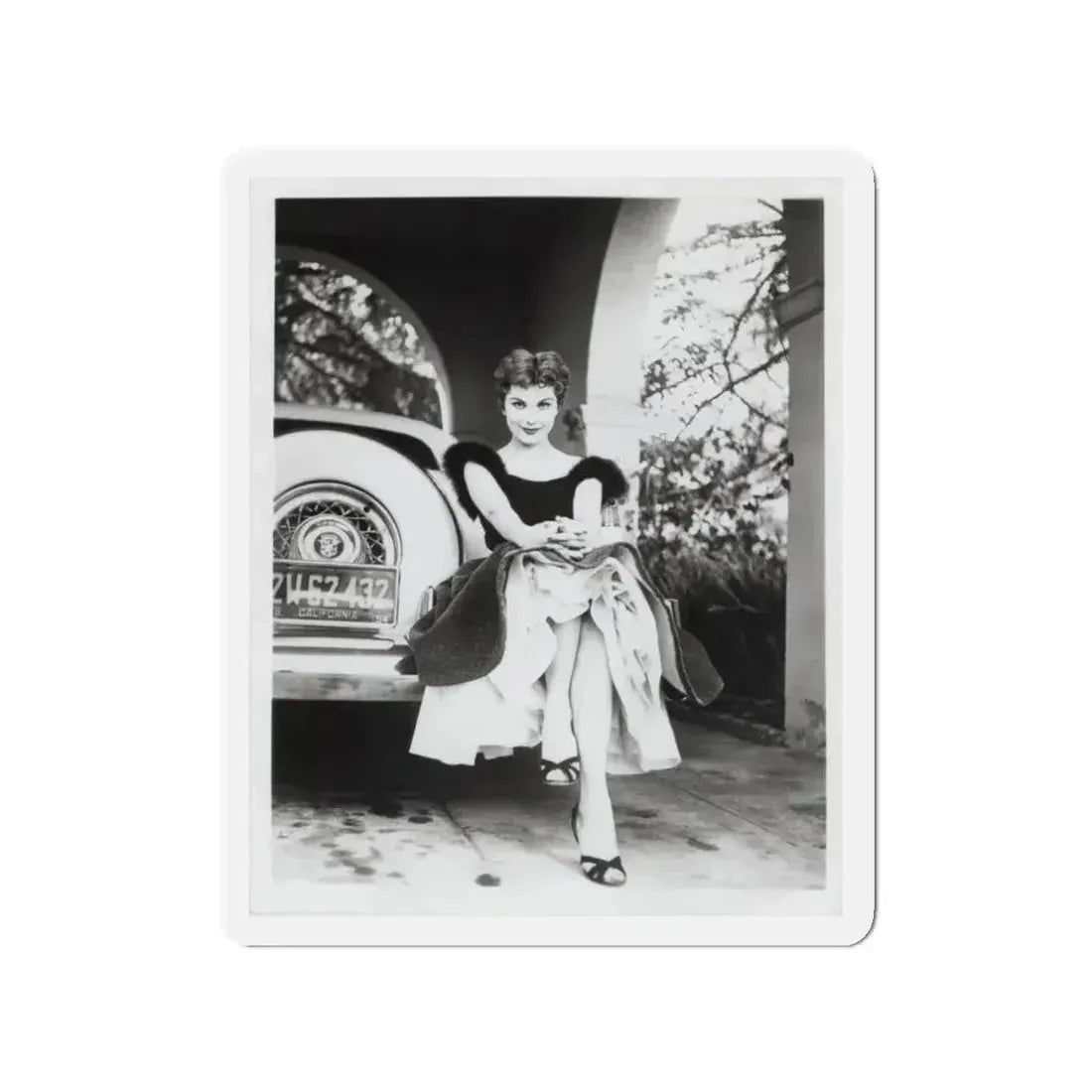 Debra Paget #610 - 8x10 B&W Full Body Glamour Promo Photo circa 50's (Vintage Female Icon) Refrigerator Magnet - The Sticker Space