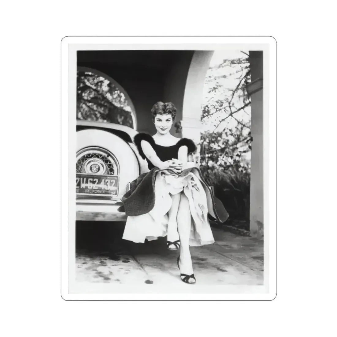 Debra Paget #610 - 8x10 B&W Full Body Glamour Promo Photo circa 50's (Vintage Female Icon) STICKER Vinyl Kiss-Cut Decal 3 Inch White - The Sticker Space
