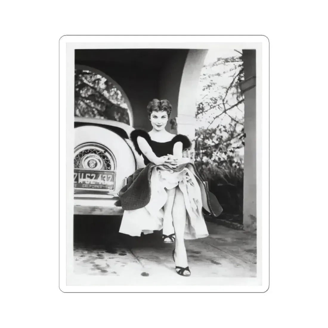 Debra Paget #610 - 8x10 B&W Full Body Glamour Promo Photo circa 50's (Vintage Female Icon) STICKER Vinyl Kiss-Cut Decal 6 Inch White - The Sticker Space