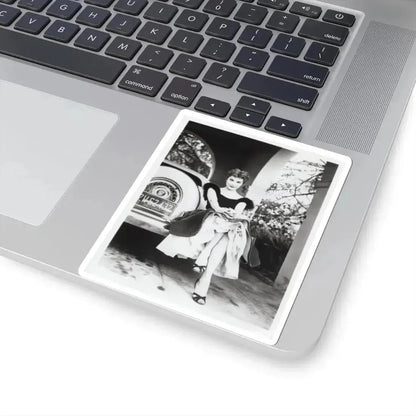 Debra Paget #610 - 8x10 B&W Full Body Glamour Promo Photo circa 50's (Vintage Female Icon) STICKER Vinyl Kiss-Cut Decal - The Sticker Space
