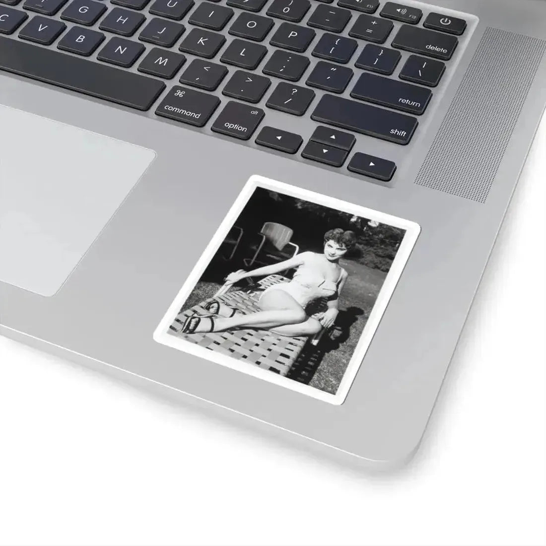 Debra Paget #611 - 8x10 B&W Full Body Pin-Up Promo Photo circa 50's (Vintage Female Icon) STICKER Vinyl Kiss-Cut Decal - The Sticker Space