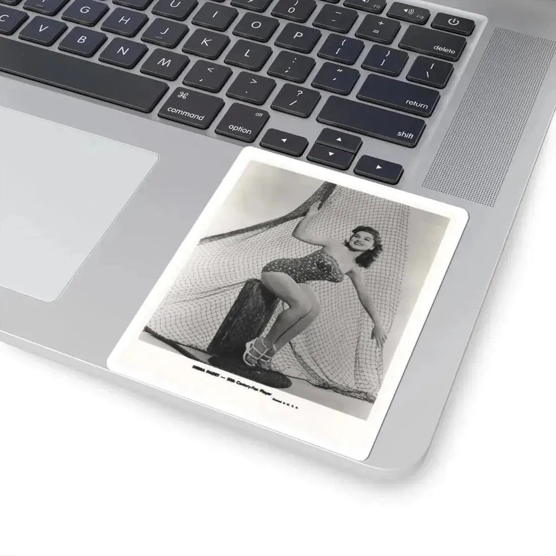 Debra Paget #612 - 8x10 B&W Full Body Pin-Up Promo Photo circa 50's (Vintage Female Icon) STICKER Vinyl Kiss-Cut Decal - The Sticker Space