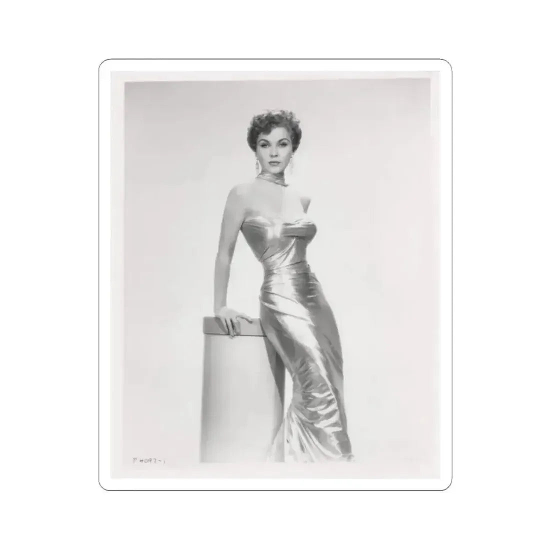 Debra Paget #615 - 8x10 B&W Full Body Mostly Glamour Promo Photo circa 50's (Vintage Female Icon) STICKER Vinyl Kiss-Cut Decal 3 Inch White - The Sticker Space