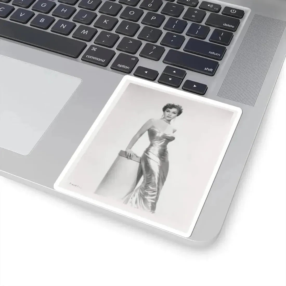 Debra Paget #615 - 8x10 B&W Full Body Mostly Glamour Promo Photo circa 50's (Vintage Female Icon) STICKER Vinyl Kiss-Cut Decal - The Sticker Space