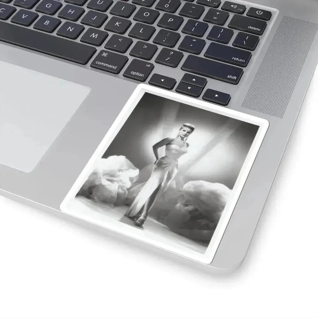 Debra Paget #616 - 8x10 B&W Full Body Glamour Promo Photo circa 50's (Vintage Female Icon) STICKER Vinyl Kiss-Cut Decal - The Sticker Space