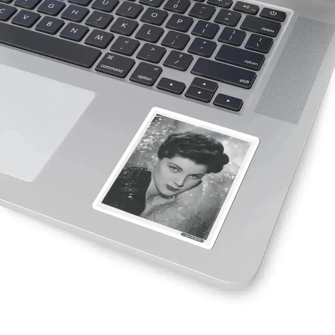 Debra Paget #617 (Vintage Female Icon) STICKER Vinyl Kiss-Cut Decal - The Sticker Space