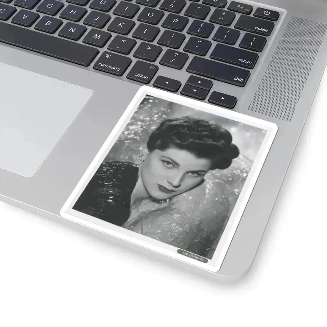 Debra Paget #617 (Vintage Female Icon) STICKER Vinyl Kiss-Cut Decal - The Sticker Space