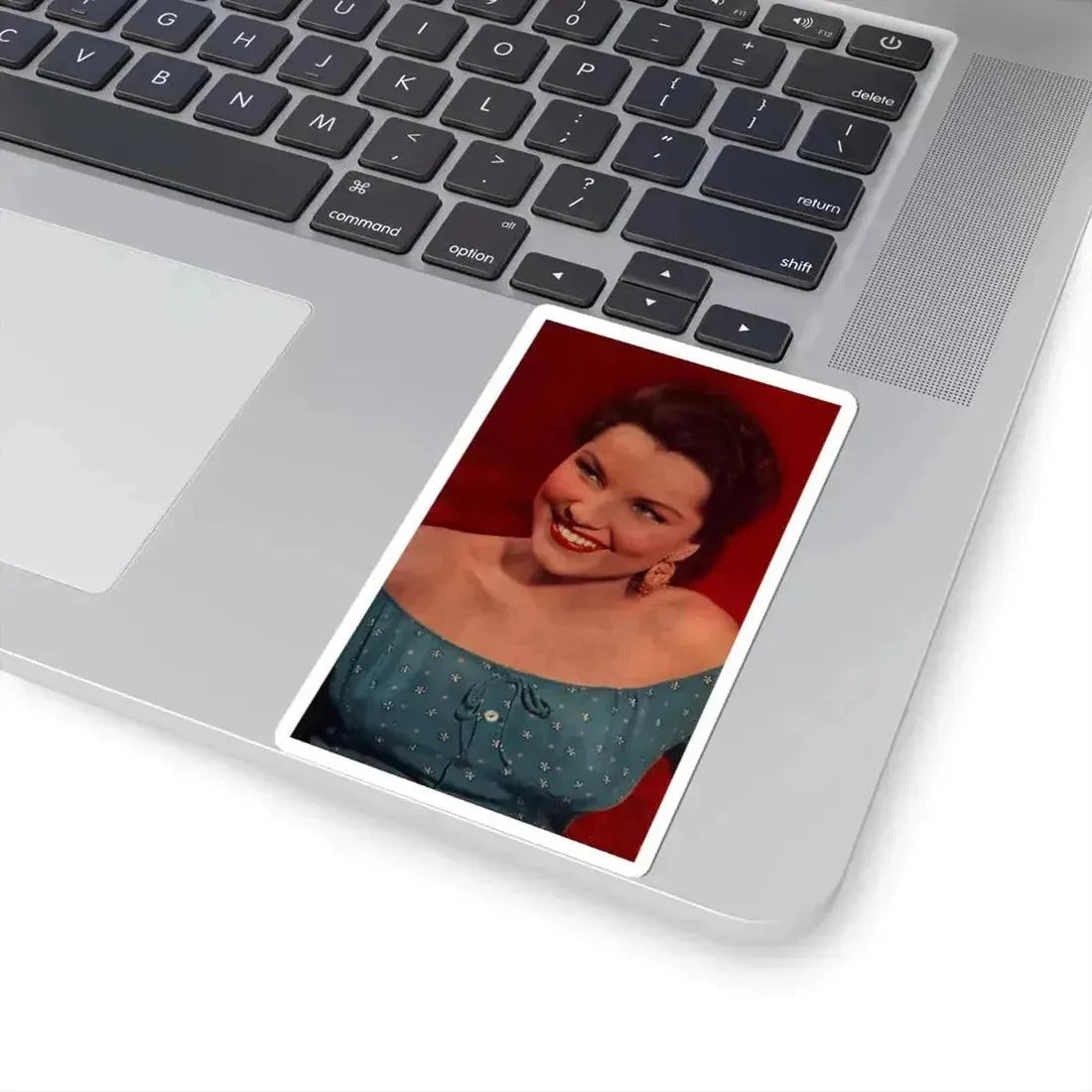 Debra Paget #624 (Vintage Female Icon) STICKER Vinyl Kiss-Cut Decal - The Sticker Space