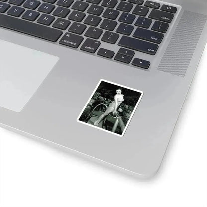 Debra Paget #625 - B&W 8x10 Full Body 2-Piece Swimsuit Leggy Barefoot Cheesecake Photo (Vintage Female Icon) STICKER Vinyl Kiss-Cut Decal - The Sticker Space