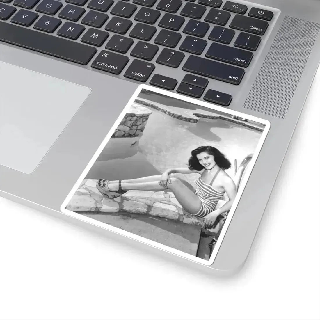 Debra Paget #629 (Vintage Female Icon) STICKER Vinyl Kiss-Cut Decal - The Sticker Space