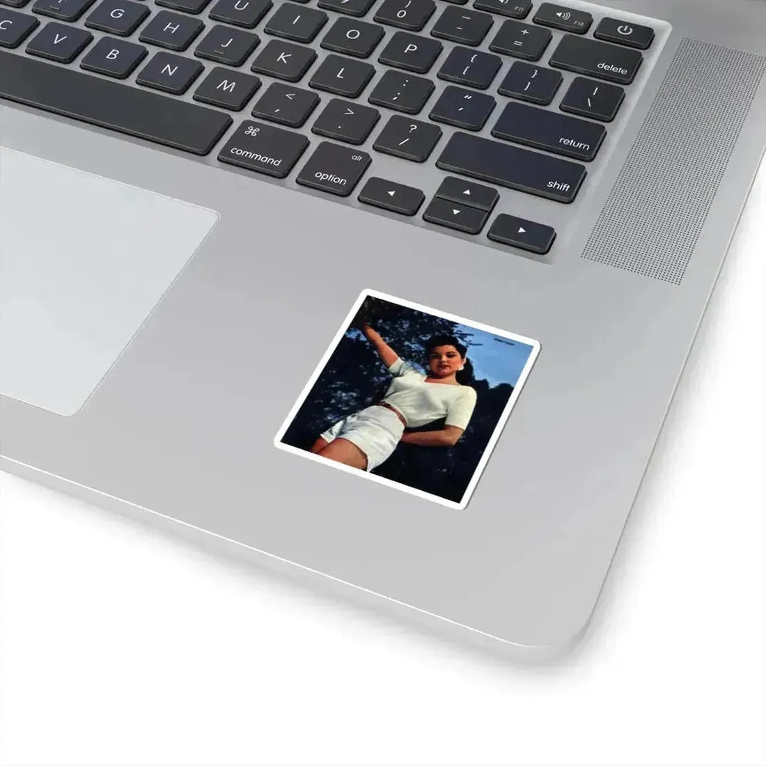 Debra Paget #631 (Vintage Female Icon) STICKER Vinyl Kiss-Cut Decal - The Sticker Space