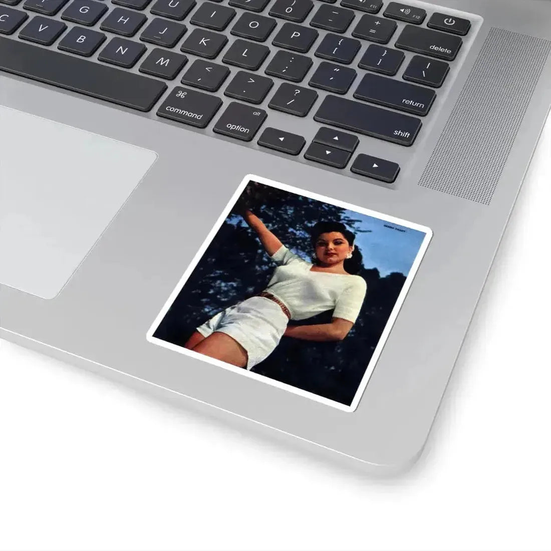 Debra Paget #631 (Vintage Female Icon) STICKER Vinyl Kiss-Cut Decal - The Sticker Space