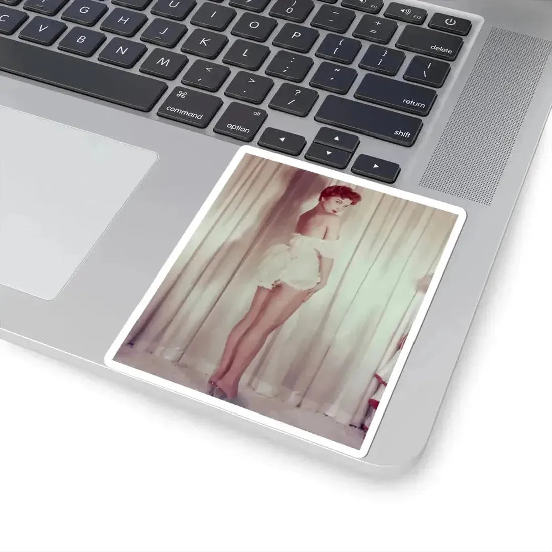 Debra Paget #64 3 (Vintage Female Icon) STICKER Vinyl Kiss-Cut Decal - The Sticker Space