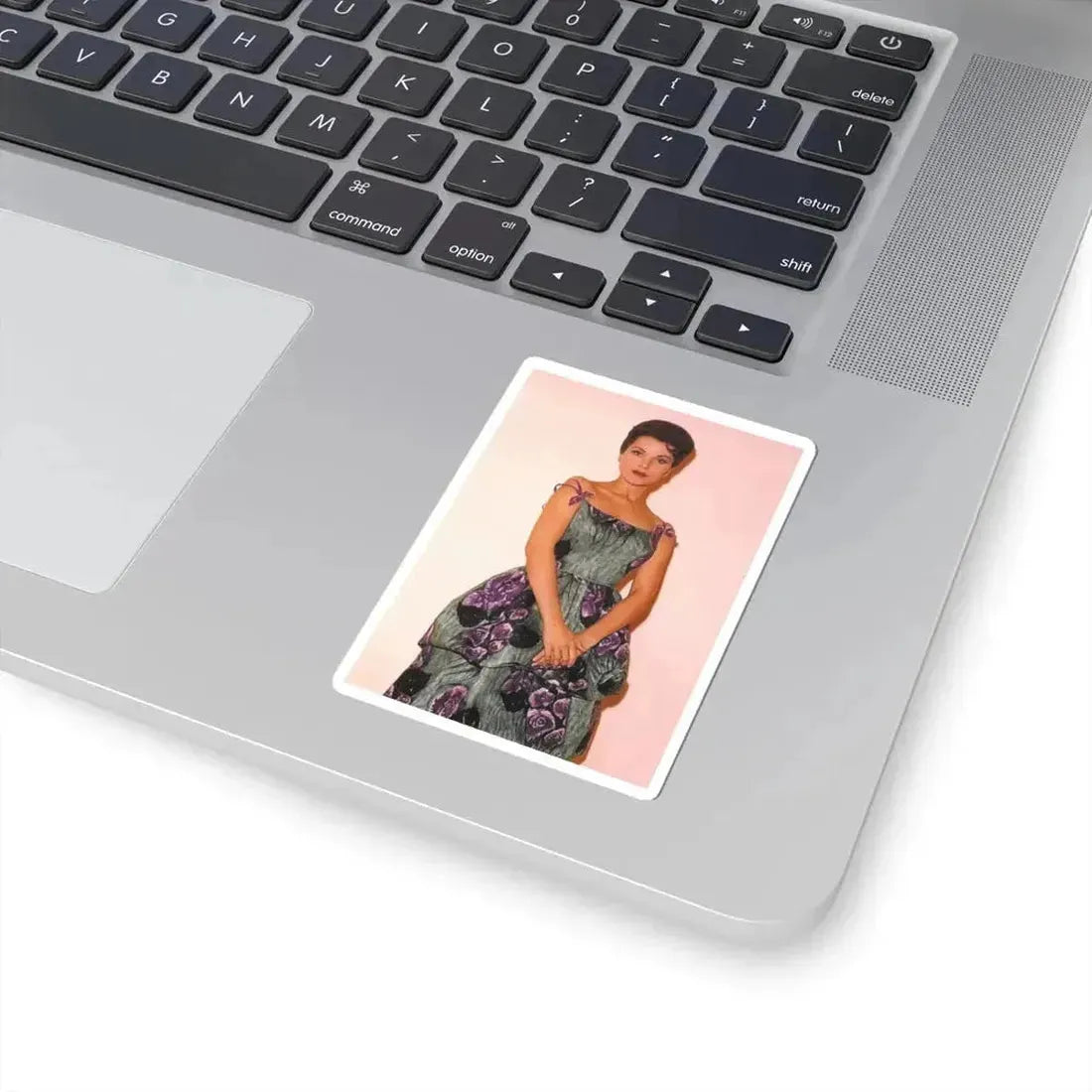 Debra Paget #643 (Vintage Female Icon) STICKER Vinyl Kiss-Cut Decal - The Sticker Space