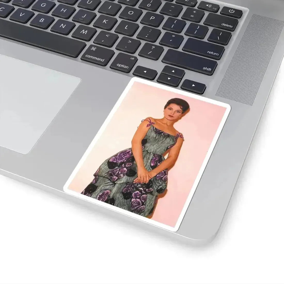 Debra Paget #643 (Vintage Female Icon) STICKER Vinyl Kiss-Cut Decal - The Sticker Space