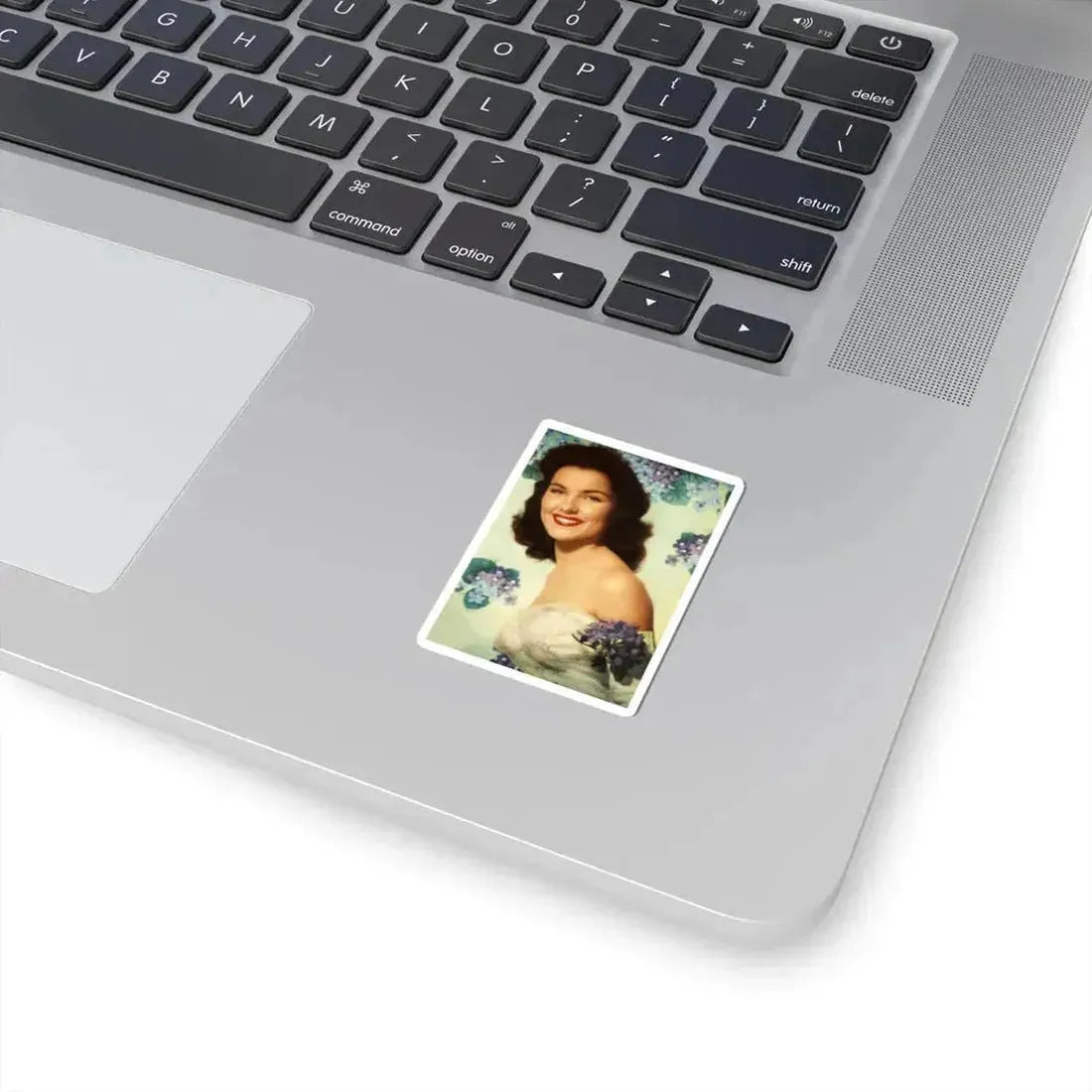 Debra Paget #646 (Vintage Female Icon) STICKER Vinyl Kiss-Cut Decal - The Sticker Space