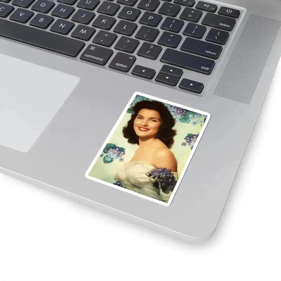 Debra Paget #646 (Vintage Female Icon) STICKER Vinyl Kiss-Cut Decal - The Sticker Space