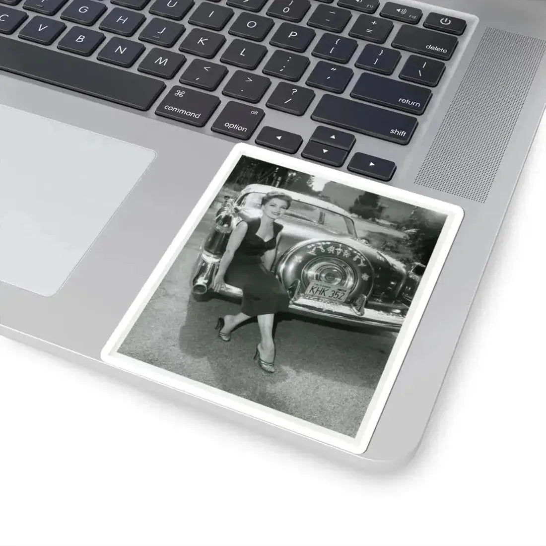 Debra Paget #649 (Vintage Female Icon) STICKER Vinyl Kiss-Cut Decal - The Sticker Space