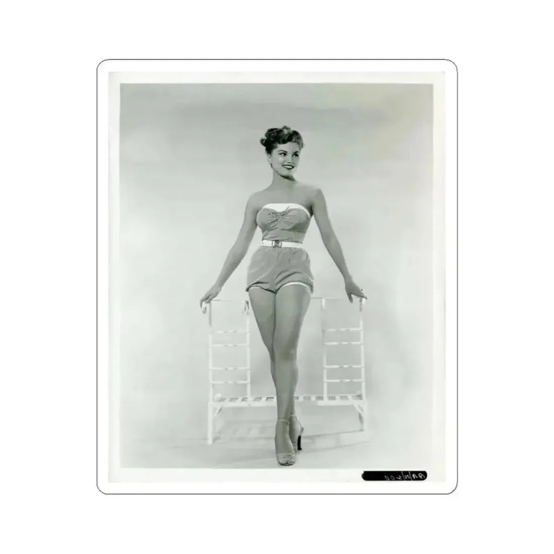 Debra Paget #651 (Vintage Female Icon) STICKER Vinyl Kiss-Cut Decal 4 Inch White - The Sticker Space