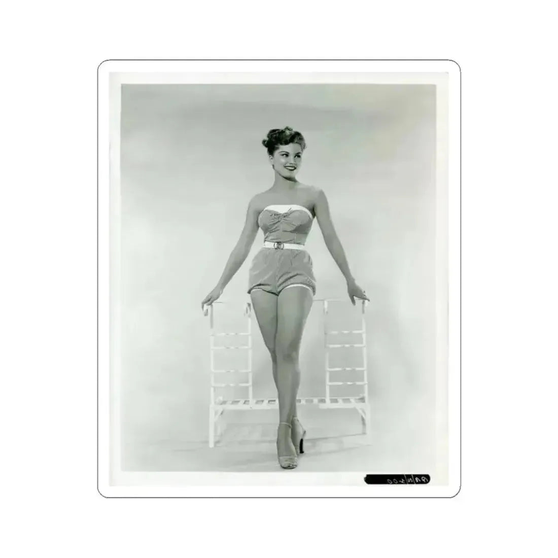 Debra Paget #651 (Vintage Female Icon) STICKER Vinyl Kiss-Cut Decal 6 Inch White - The Sticker Space