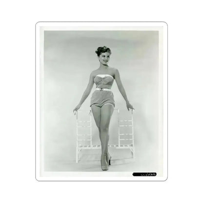 Debra Paget #651 (Vintage Female Icon) STICKER Vinyl Kiss-Cut Decal 6 Inch White - The Sticker Space