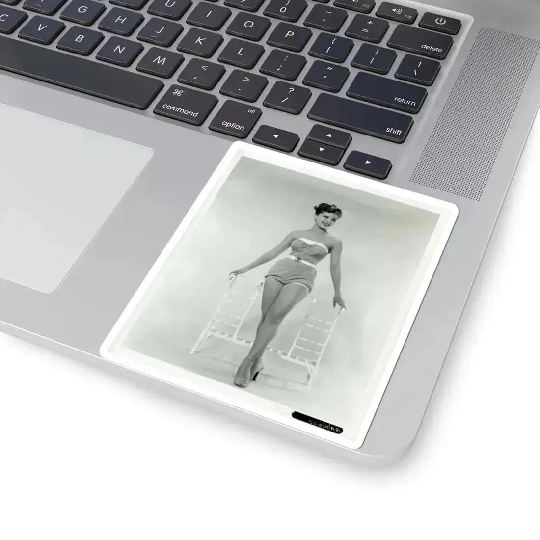 Debra Paget #651 (Vintage Female Icon) STICKER Vinyl Kiss-Cut Decal - The Sticker Space