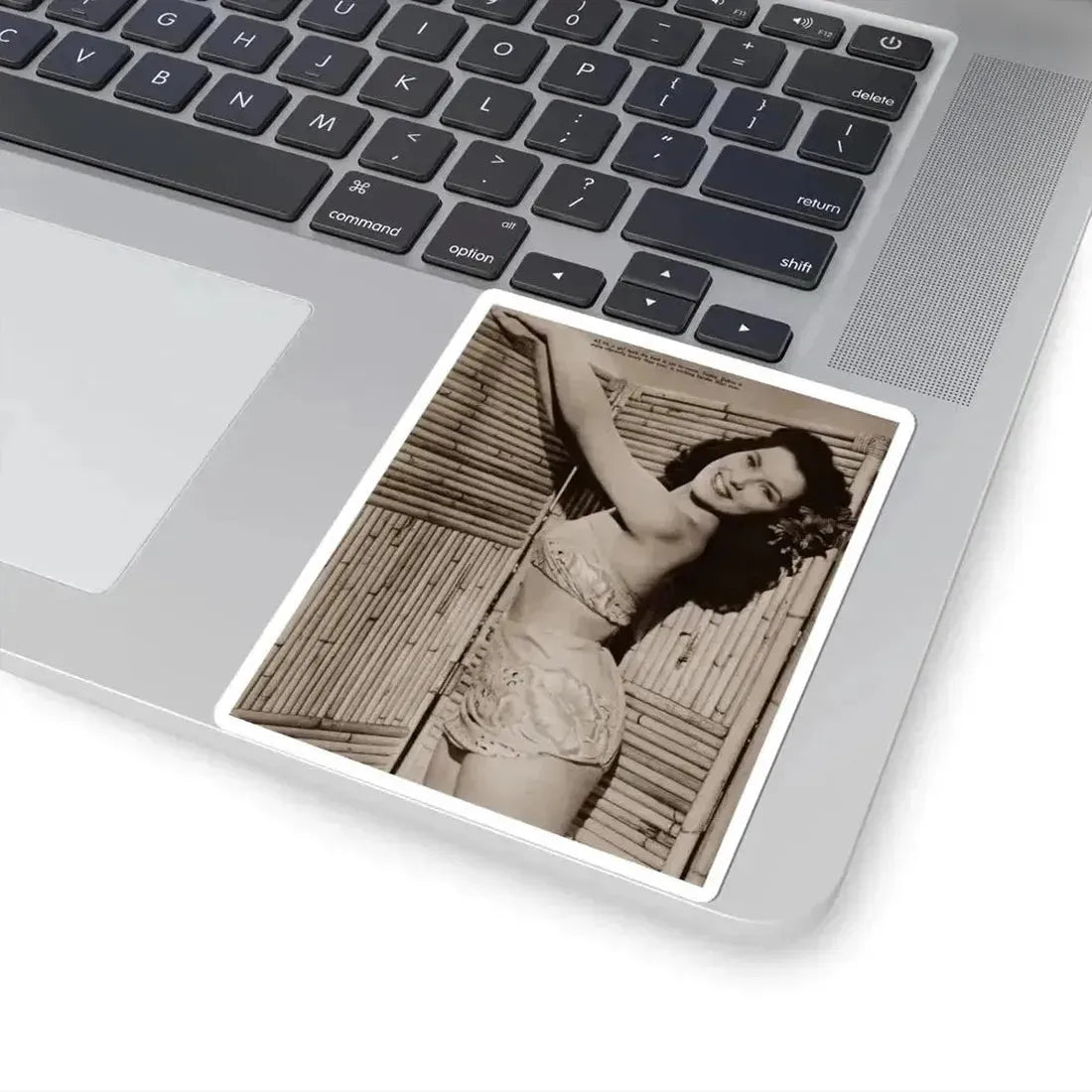 Debra Paget #656 - Bird Of Paradise '51 1 (Vintage Female Icon) STICKER Vinyl Kiss-Cut Decal - The Sticker Space